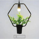 Suspension Plantes Vertes Trazos D Luminaire Chambre